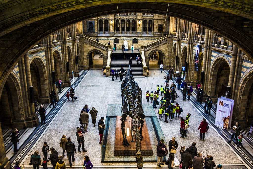 Museo De Historia Natural Natural History Museum Londres