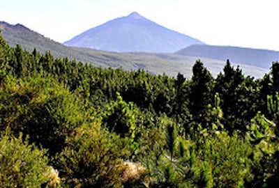 Teide desde la Orotava Tenerife