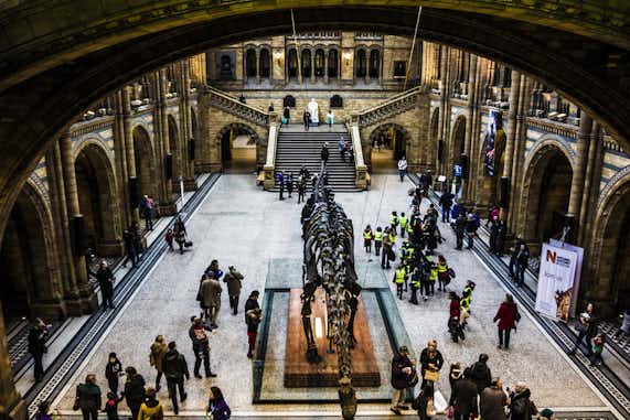 Natural History Museum 3 Museo de Historia Natural de Londres