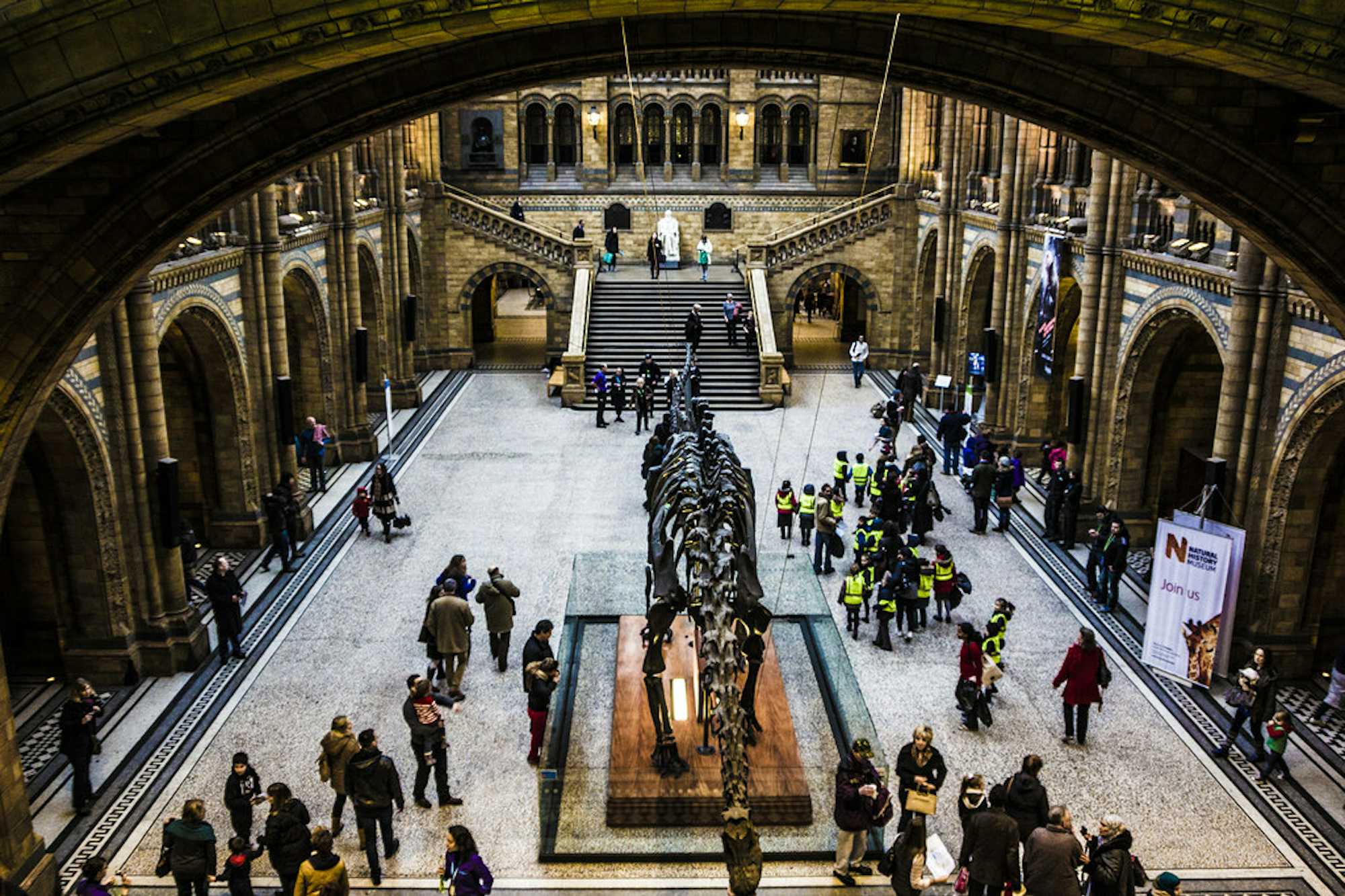 Dippy en el Natural History Museum de Londres