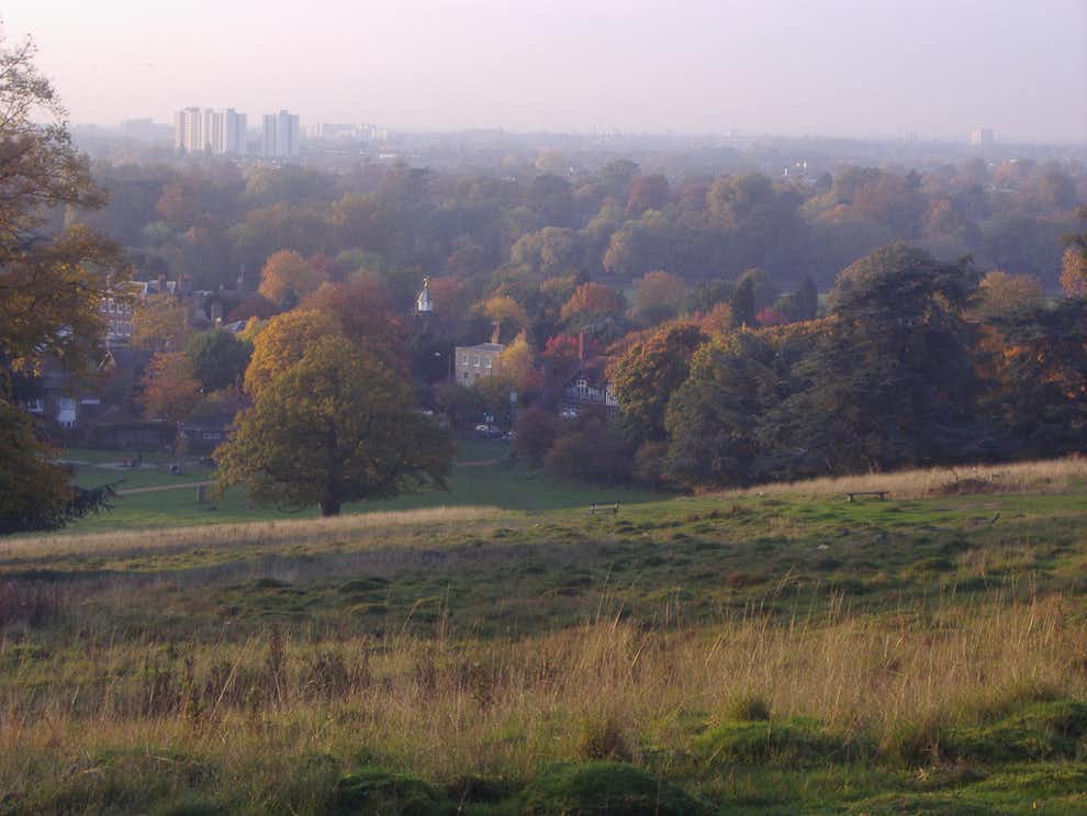 Sorprendentes barrios de Londres: Richmond Richmond Park Londres