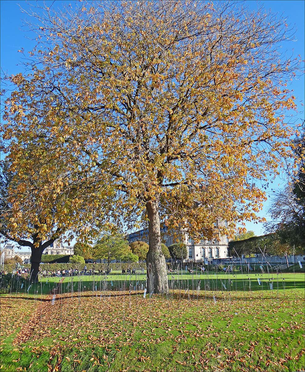 'Alma' Christian Boltanski