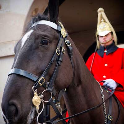 Centibela de cambio de guardia Londres en Horse Guards