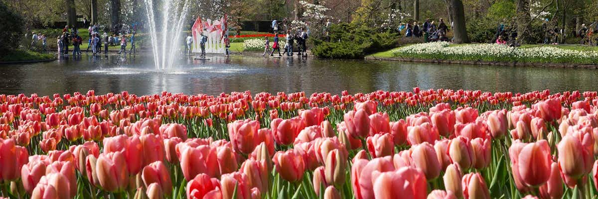 Fechas Keukenhof: tulipanes en Ámsterdam