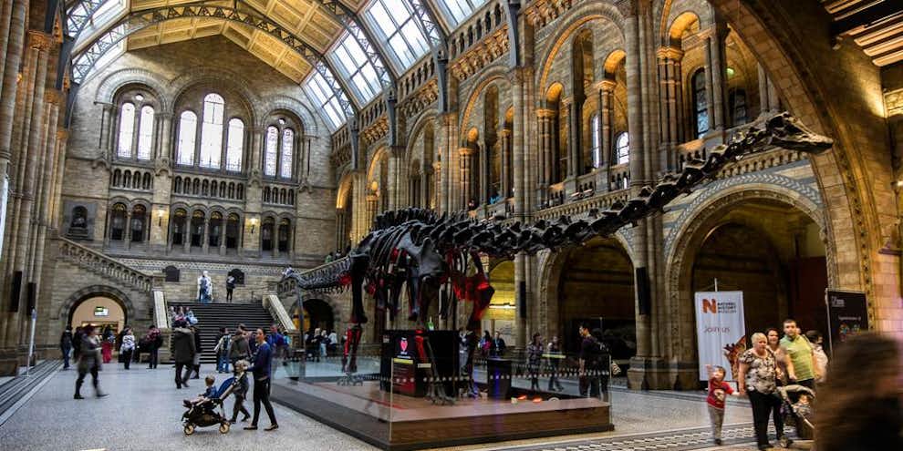museos imprescindibles londres natural history museum