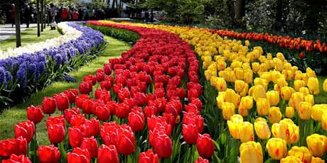 Cuatro increíbles jardines en Europa 9 Jardines Keukenhof Amsterdam