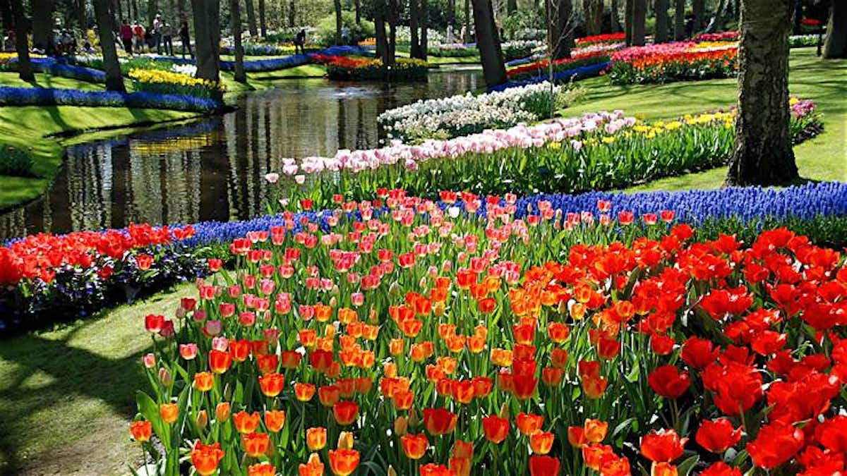 como visitar keukenhof amsterdam