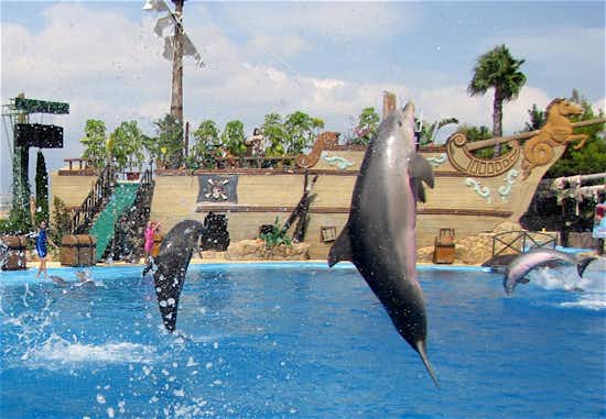 Escapada con niños a Mundomar Benidorm 11 visitar mundomar benidorm tuescapada eu