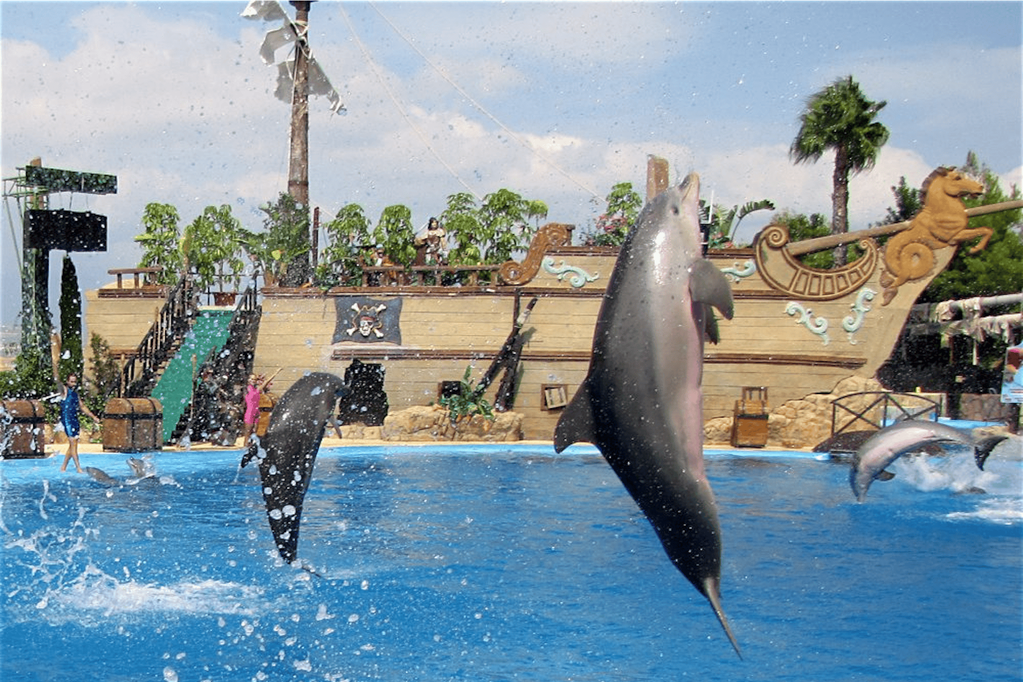 visitar mundomar benidorm-tuescapada-eu