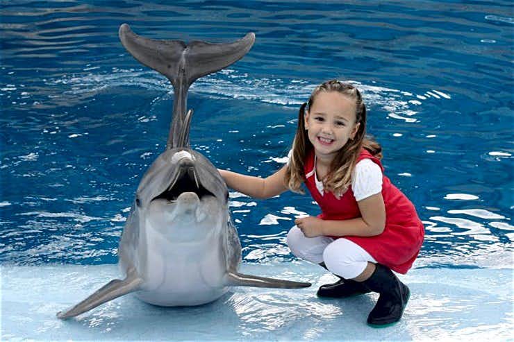 delfines mundomar benidorm