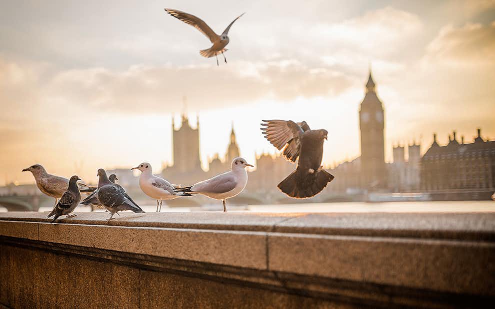 Clima de Londres en Noviembre