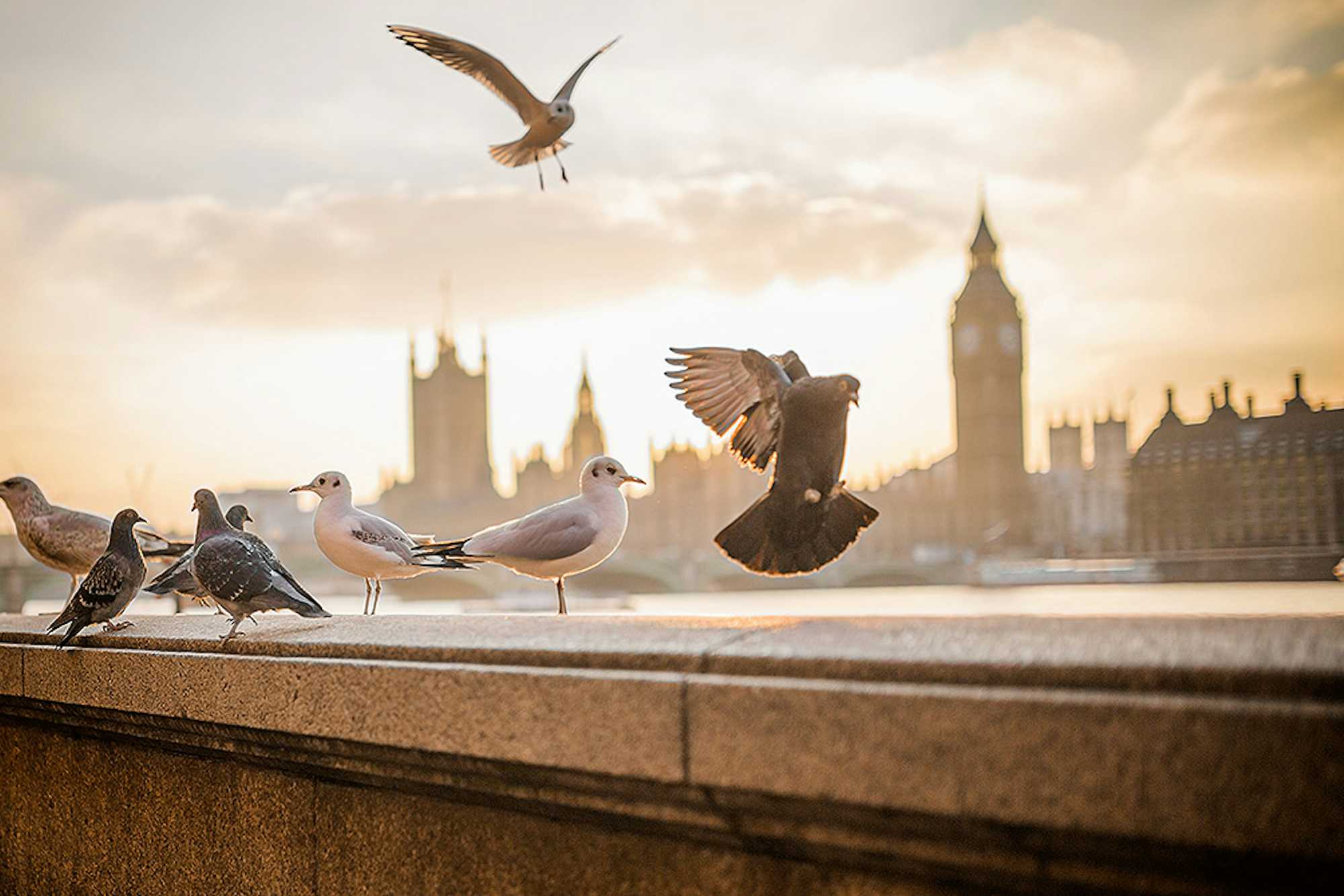 tiempo en londres noviembre