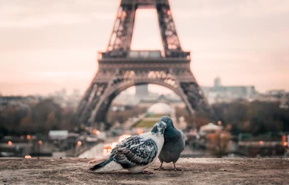 Ocho hoteles románticos para un inolvidable San Valentín en París 1 amor en paris
