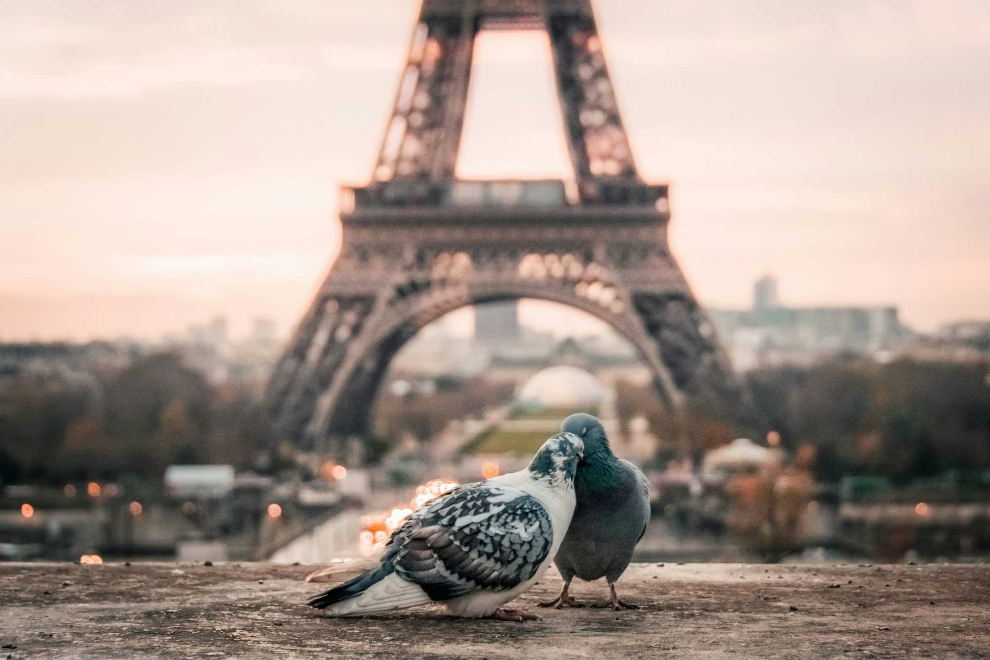 dia enamorados paris