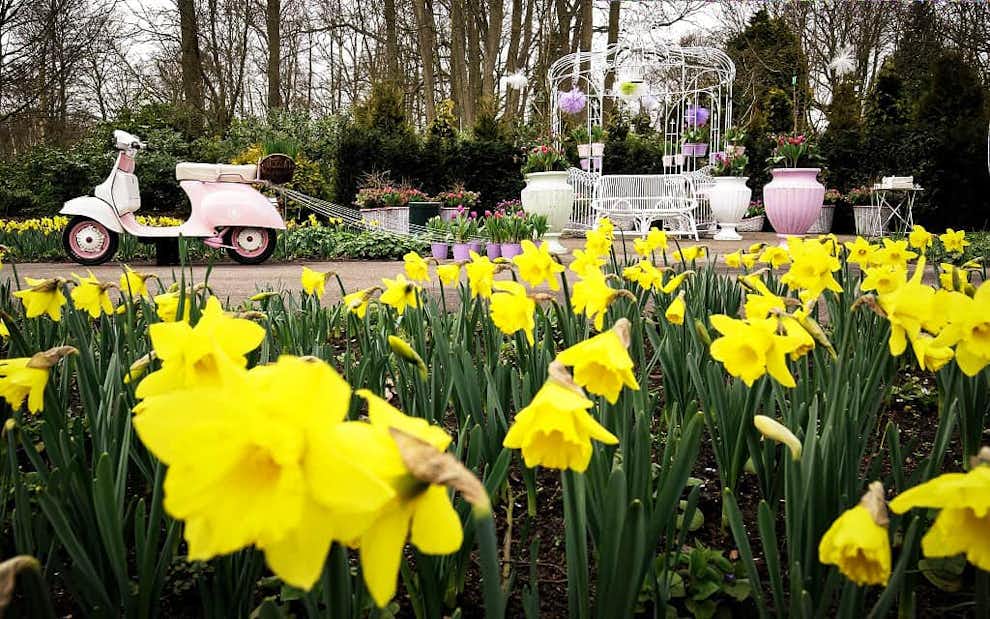 que hacer keukenhof jardin proposiciones