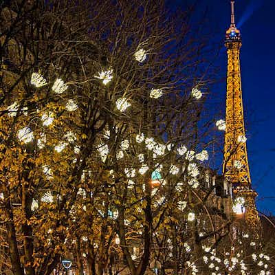 Experiencia de Navidad en Torre Eiffel París