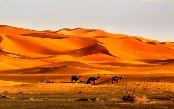 Nochevieja en Marruecos 1 Dunas Desierto Merzouga Marruecos