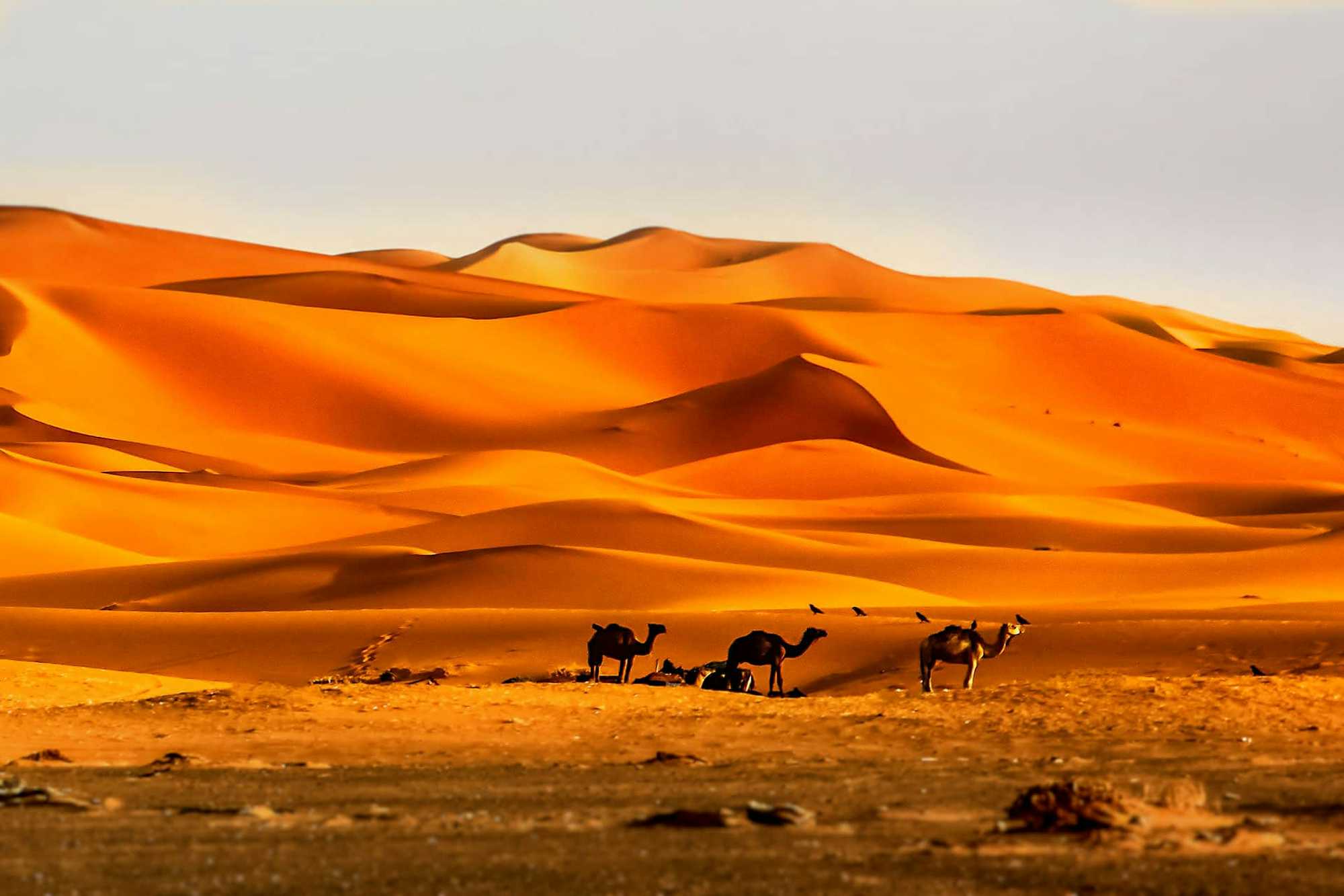 Dunas Desierto Merzouga Marruecos