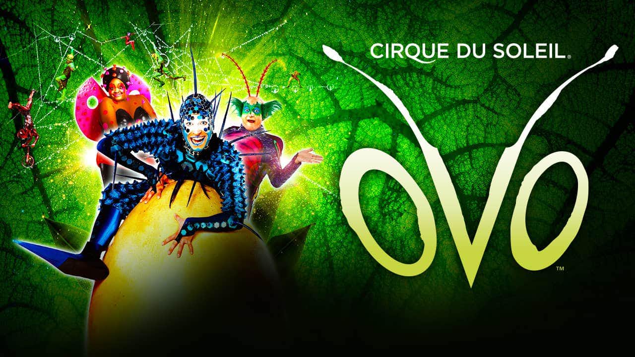 Circo del Sol en Londres - Ovo - Información entradas 2021