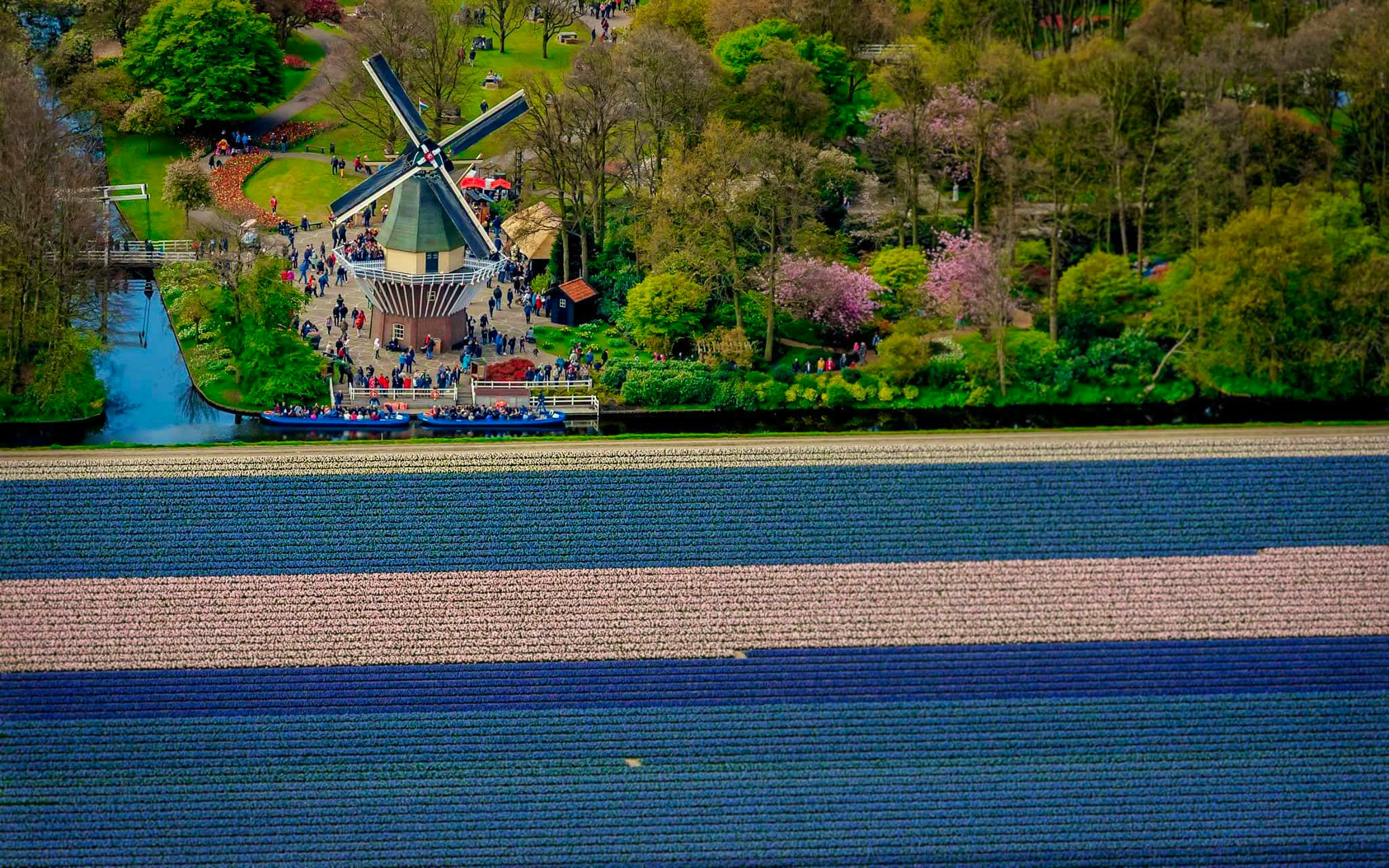 Keukenhof parque tulipanes Holanda