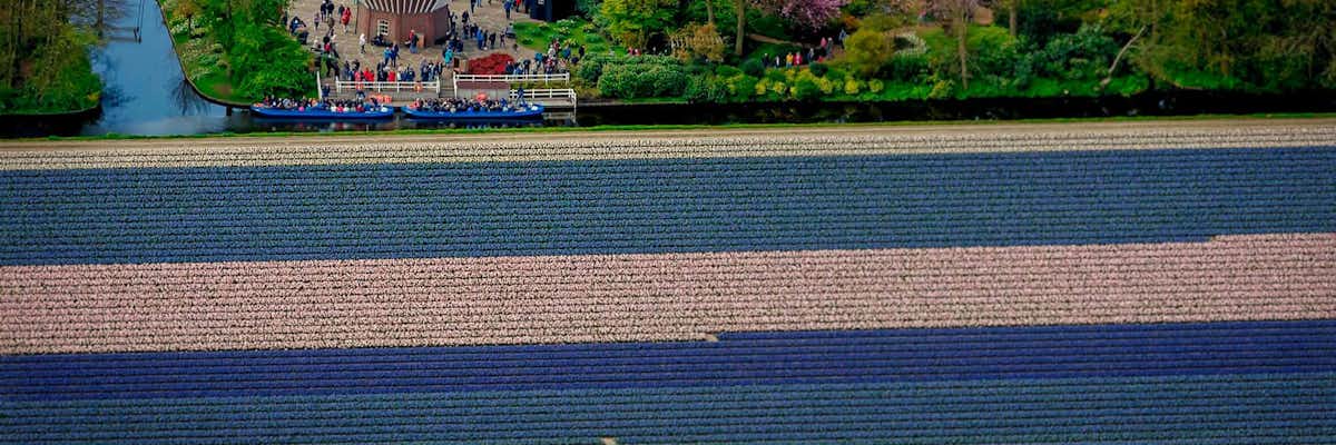 Keukenhof parque tulipanes Holanda