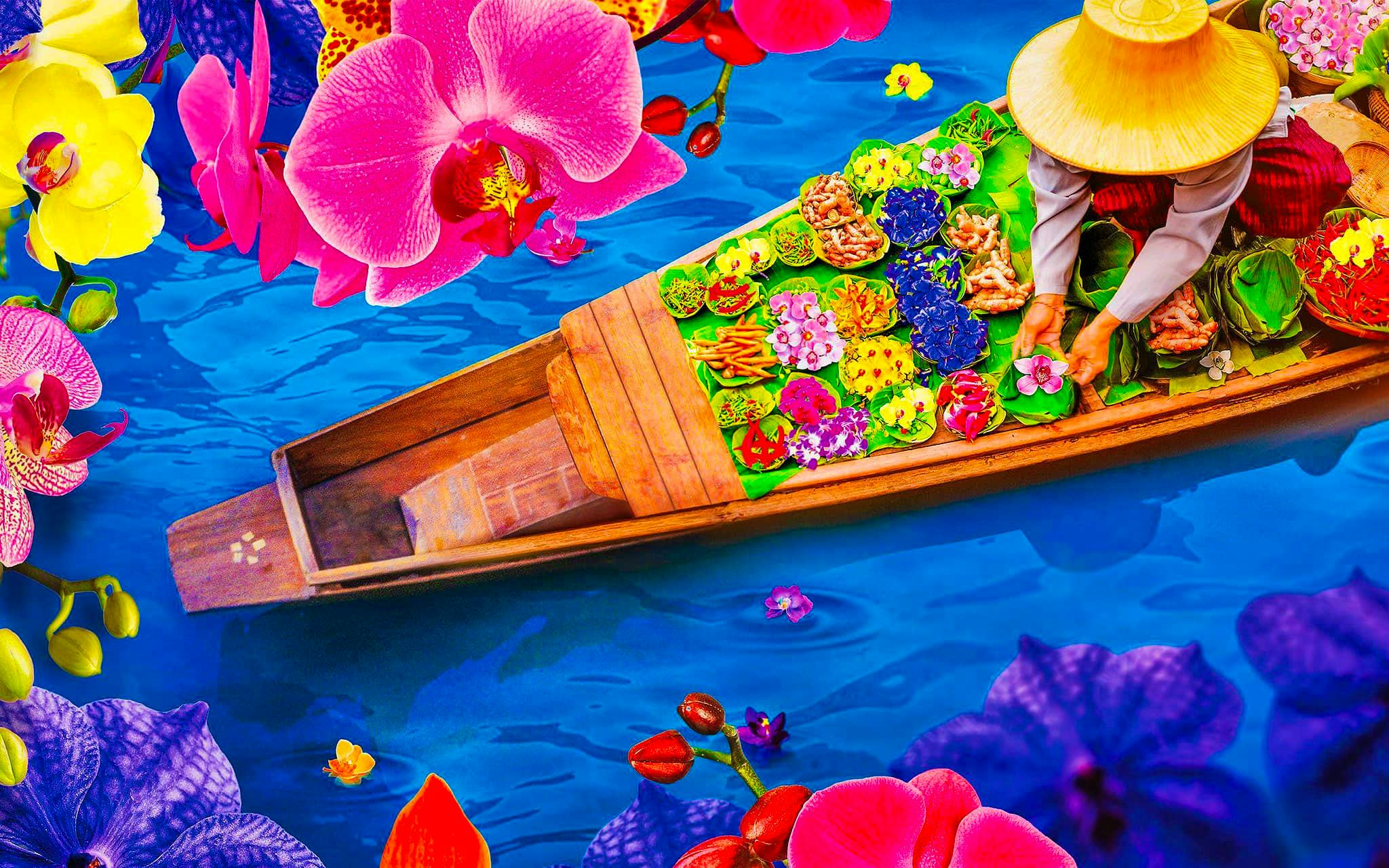 Orchids Festival Kew Gardens Londres