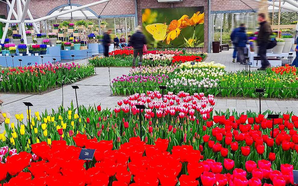 Pabellones Keukenhof