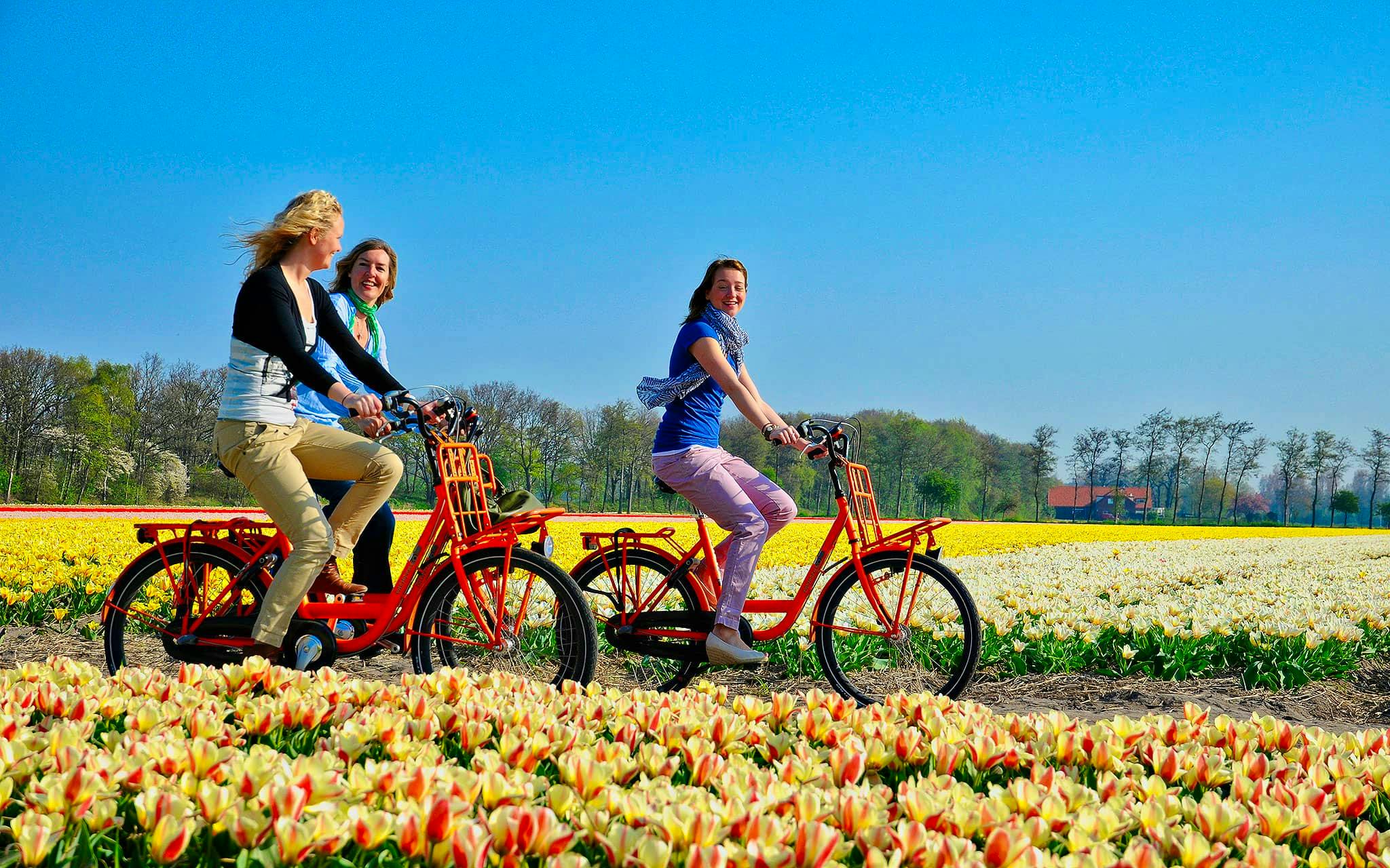 Recorriendo en bicicleta los jardines de Keukenhof