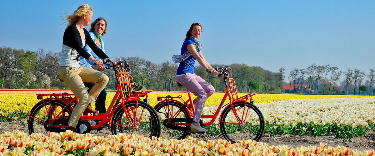 Recorriendo en bicicleta los jardines de Keukenhof