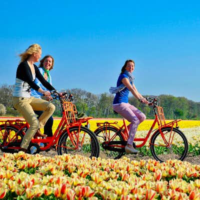Parque Keukenhof y excursión en bicicleta por los campos de tulipanes Visitar Keukenhof en bicicleta