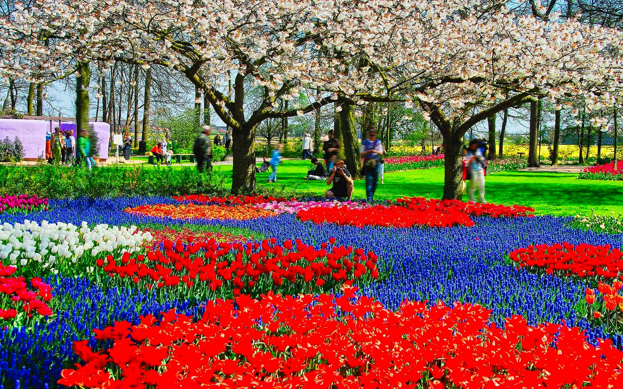 Jardines de Keukenhof Holanda