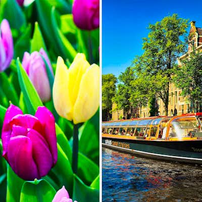 Parque Keukenhof y crucero gratis por canales de Ámsterdam Amsterdam Tulipanes Crucero Canales