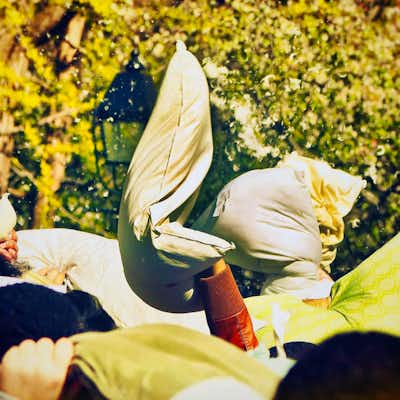 Día Internacional de la Guerra de Almohadas en Londres Abril en Londres: Día Internacional de la Guerra de Almohadas en Londres