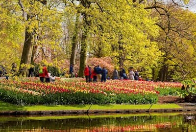 Qué hacer Amsterdam: Keukenhof el jardín de flores