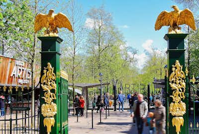 Qué hacer Amsterdam: Artis Zoo