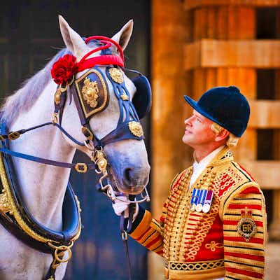 Royal Mews Palacio Buckigham Londres
