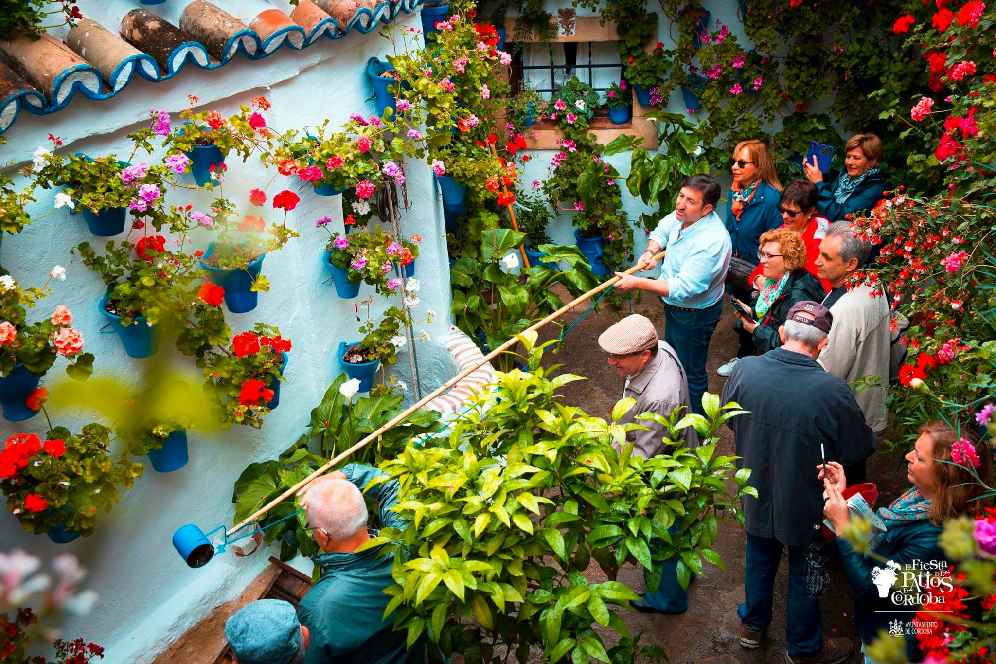 Cómo visitar Patios de Córdoba 2026