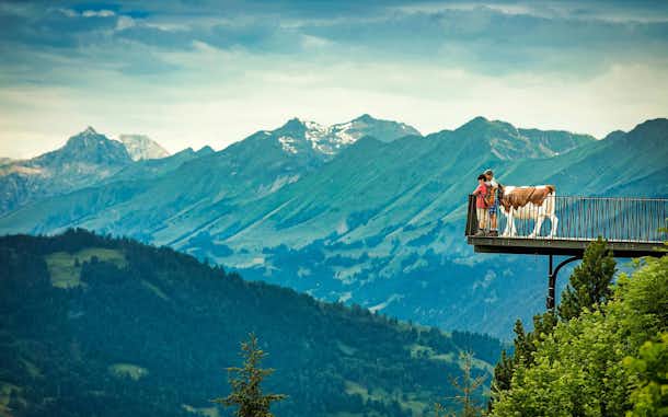 Suiza increíble – 3 planes geniales para visitar entre quesos y chocolate 3 Visitar Suiza Increible Turismo Interlaken