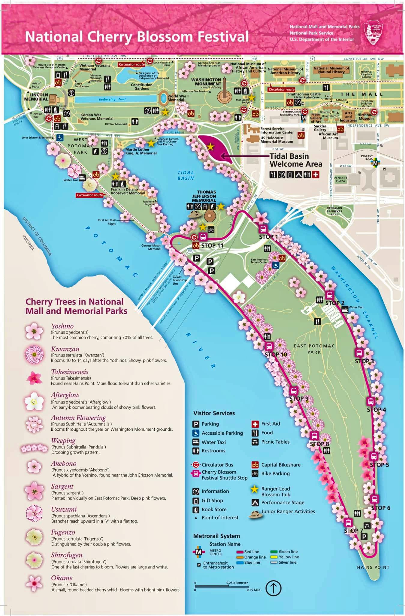 Mapa Festival Cerezos Washington