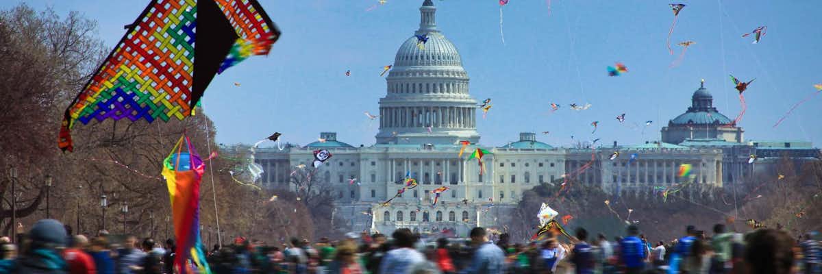Festival Cometas Cherry Blossom Kite Washington