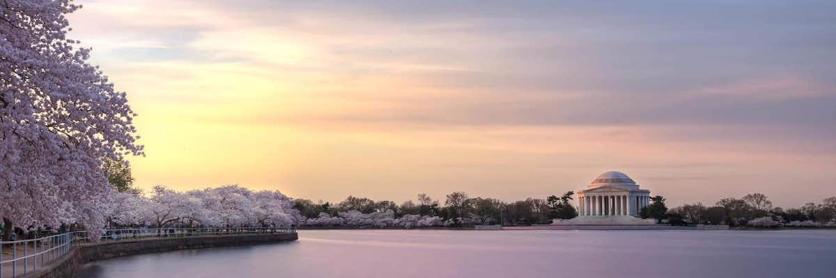 Amanecer Tidal Basin Cerezos Florecientes Washington