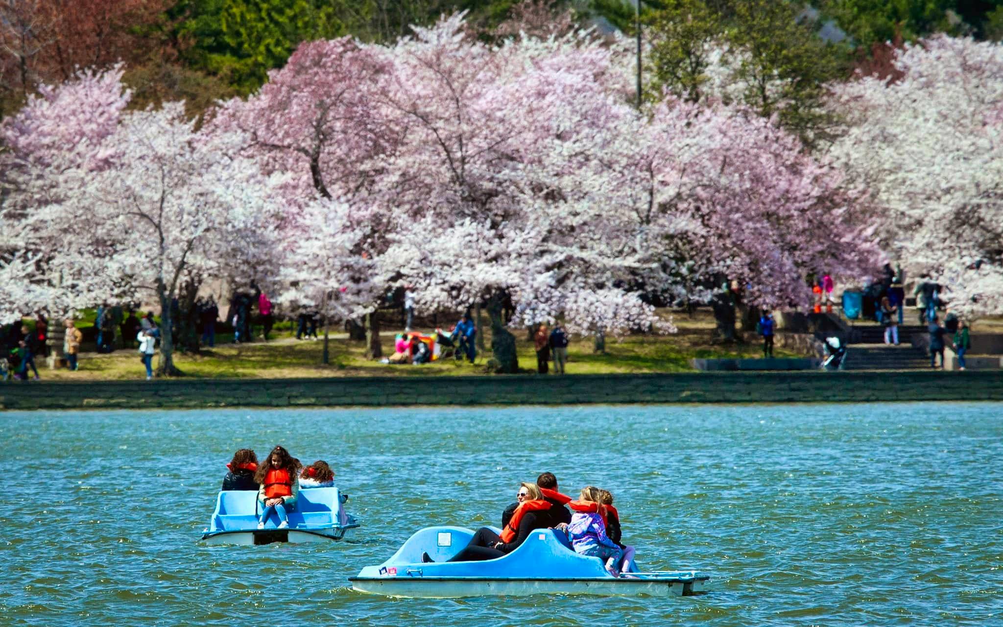 Pedales Tidal Basin Washington