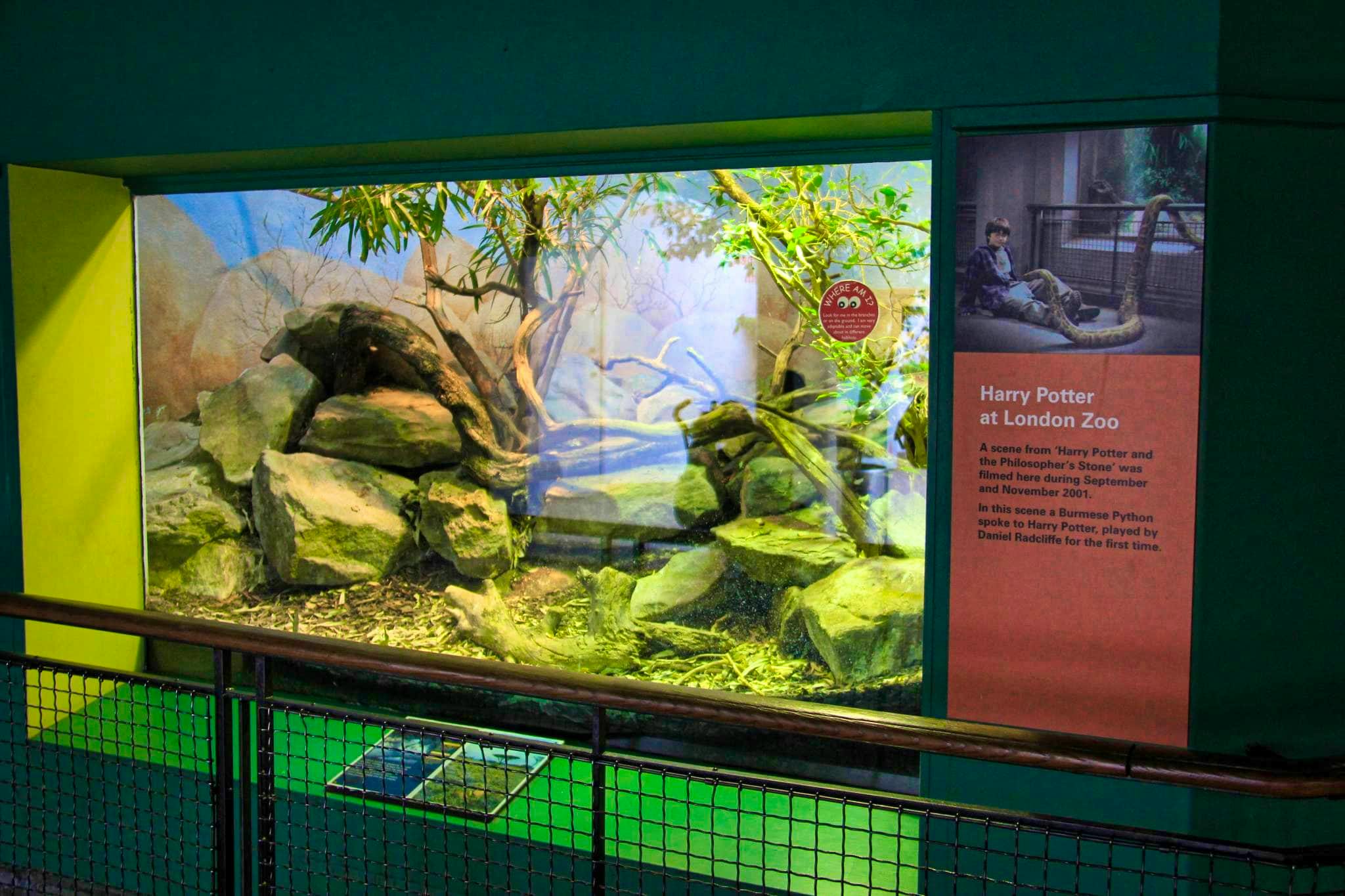 Harry Potter en Zoo de Londres