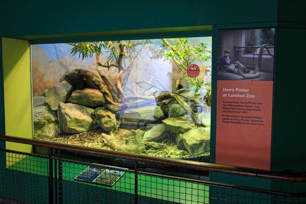 Harry Potter Londres — Zoo de Londres donde Potter habla con la serpiente Harry Potter en Zoo de Londres