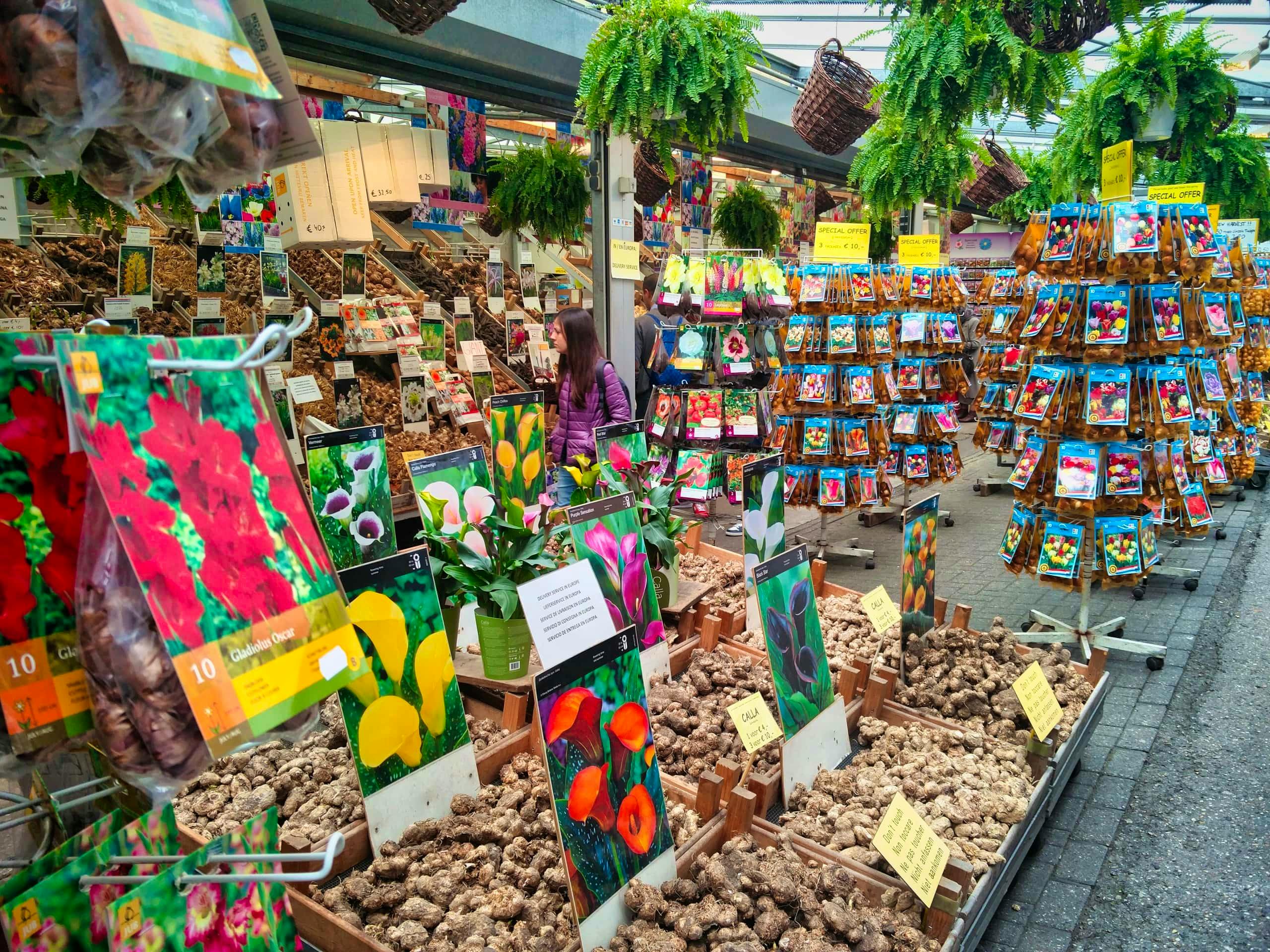 Amsterdam Bloemenmarkt Mercado de Flores de Ámsterdam en marzo