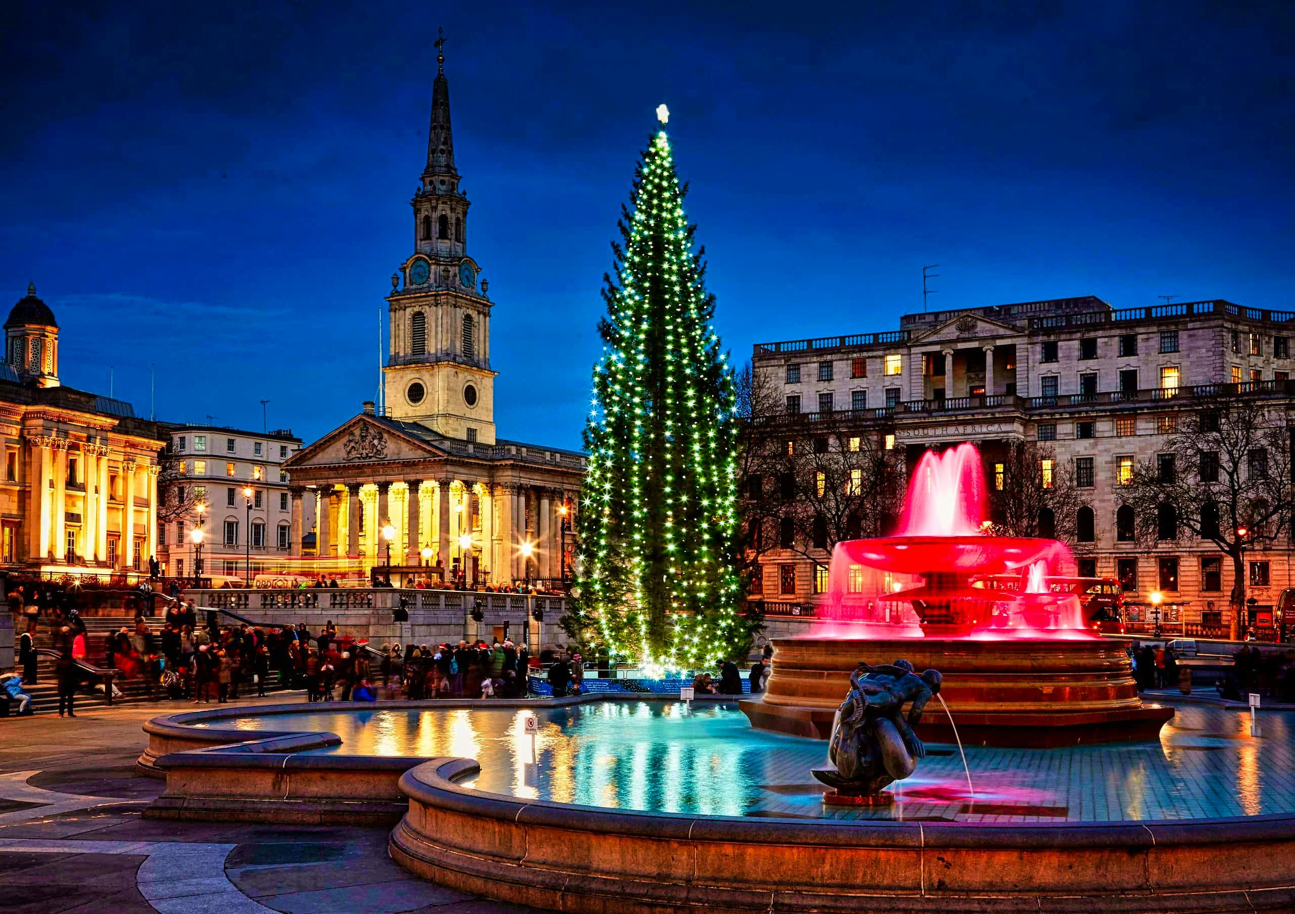 Árbol De Navidad De Londres En Trafalgar Square: Luces 2024