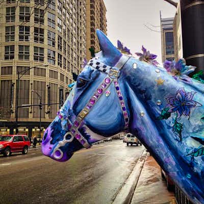 Horses of Honor: caballo de honor en Chicago