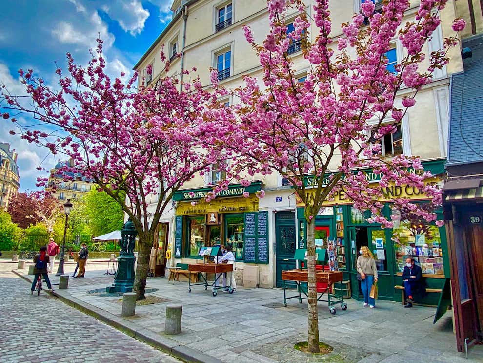 Cerezos en flor en la librería Shakespeare and Co. Barrio latino de París