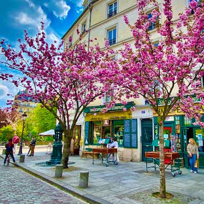 Qué hacer París en Abril: Cerezos en flor en la librería Shakespeare and Co. Barrio latino de París