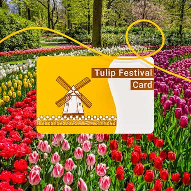 Tarjeta de la Fiesta del Tulipán %currentyear%: descubre los tulipanes en Holanda con la Tulip Festival Card 4 Tarjeta Fiesta del Tulipán para visitar Keukenhof desde Ámsterdam
